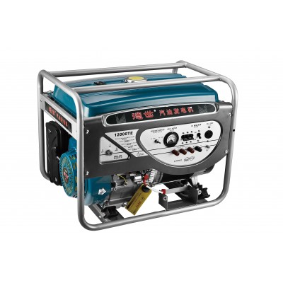 Генератор бензиновый 3-12000E/10KW/220V